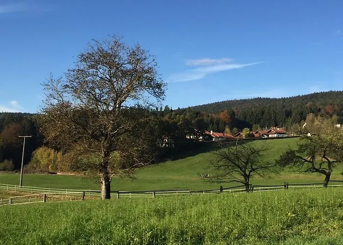 Blick