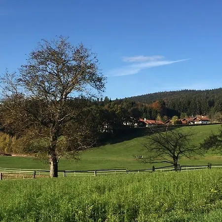 Blick