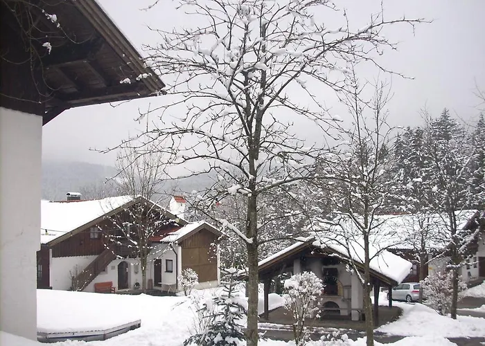 Blick *
