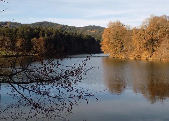 Blick